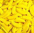 Bananas - Mayceys
