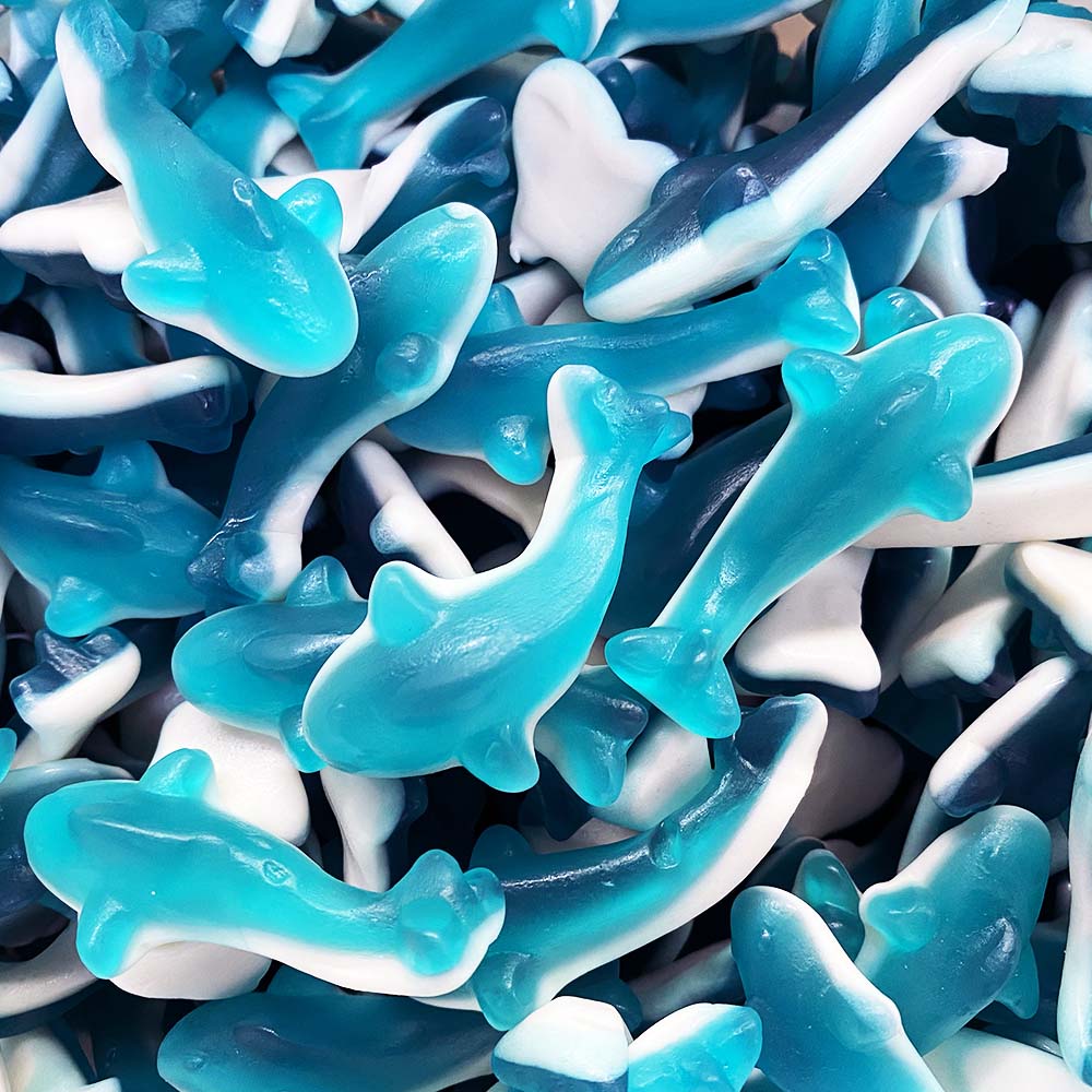Blueberry Dolphin