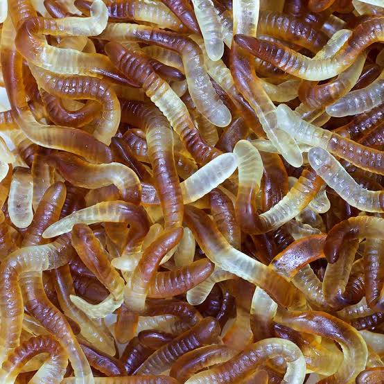 Cola Worm
