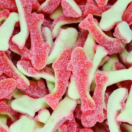 Coloured Sharks