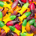 Colourful Fish