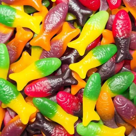 Colourful Fish