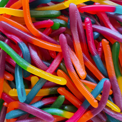 Gloworms